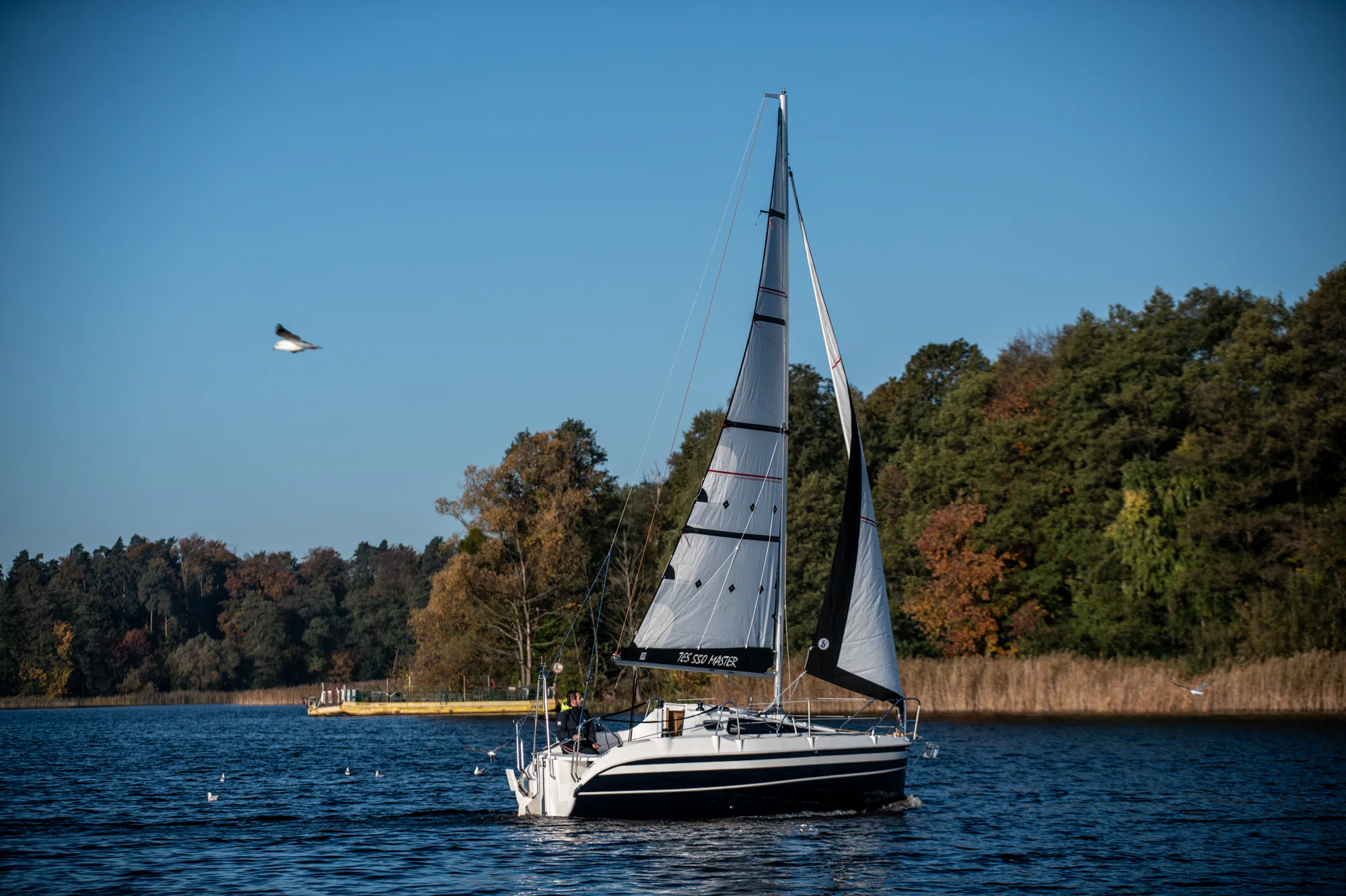 TES 20' Master sailing angle